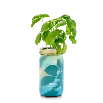 Basil Herb Garden Jar