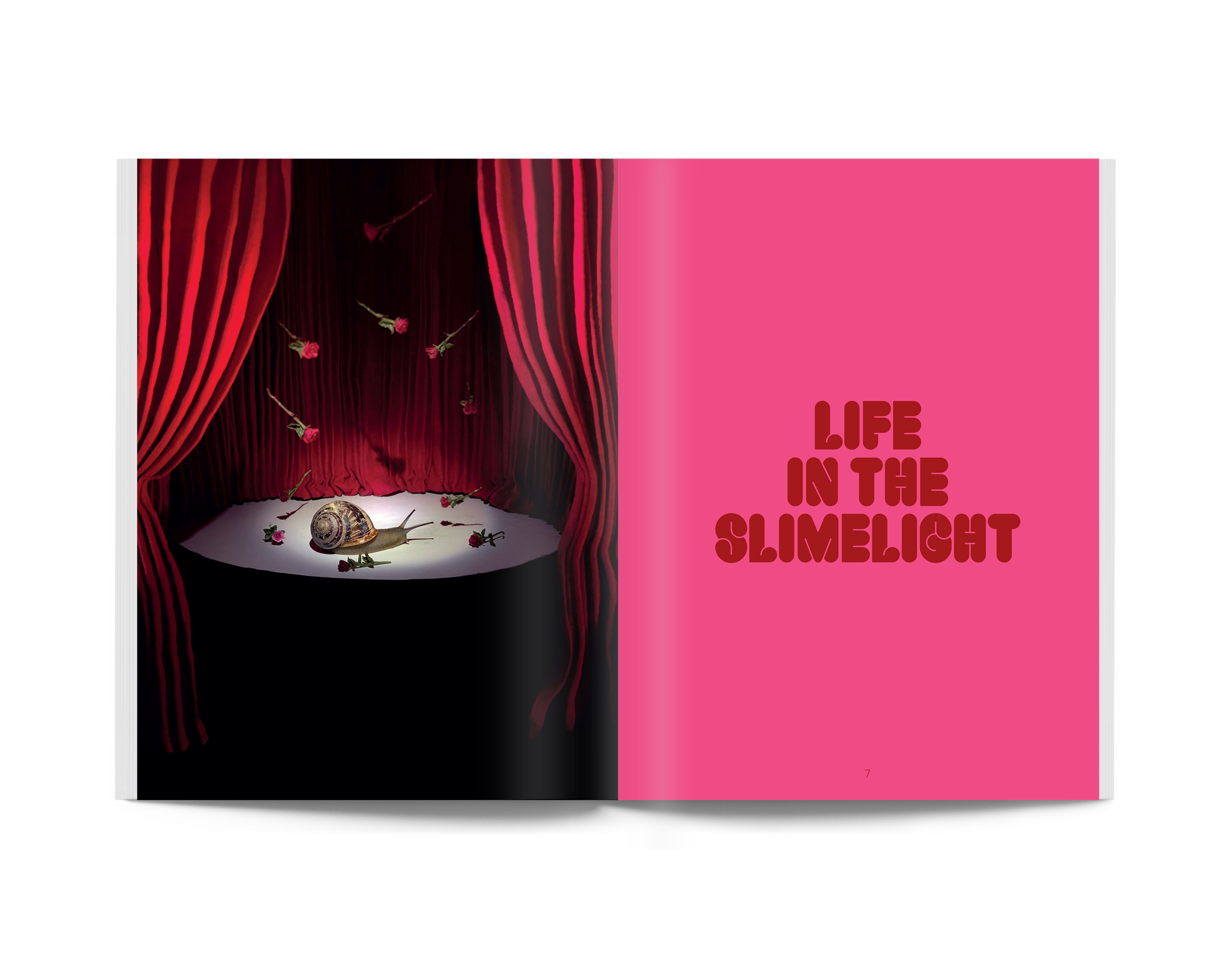 アート・デザイン・音楽 Snail World: Life in the Slimelight Book Snail World: Life in the Slimelight – Larissa Loden