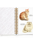 Moody Cats Sticker Book