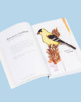 The Field Guide to Dumb Birds of America