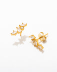 Cluster Studs
