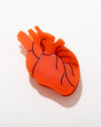Anatomical Heart Hair Claw