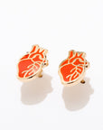 Anatomical Heart Studs
