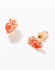 Anatomical Heart Studs