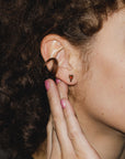 Lobster Studs
