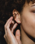 Egg Studs