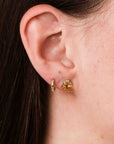 Shrimp Studs