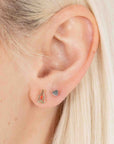 Lobster Studs