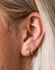 Pumpkin Studs