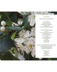 The Skillful Forager Book