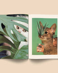 Catnip Magazine