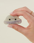 Mystery Crystal Cloud Pet Rock