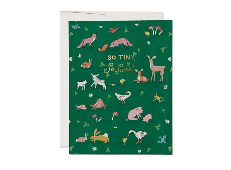 Tiny Animals Baby Card