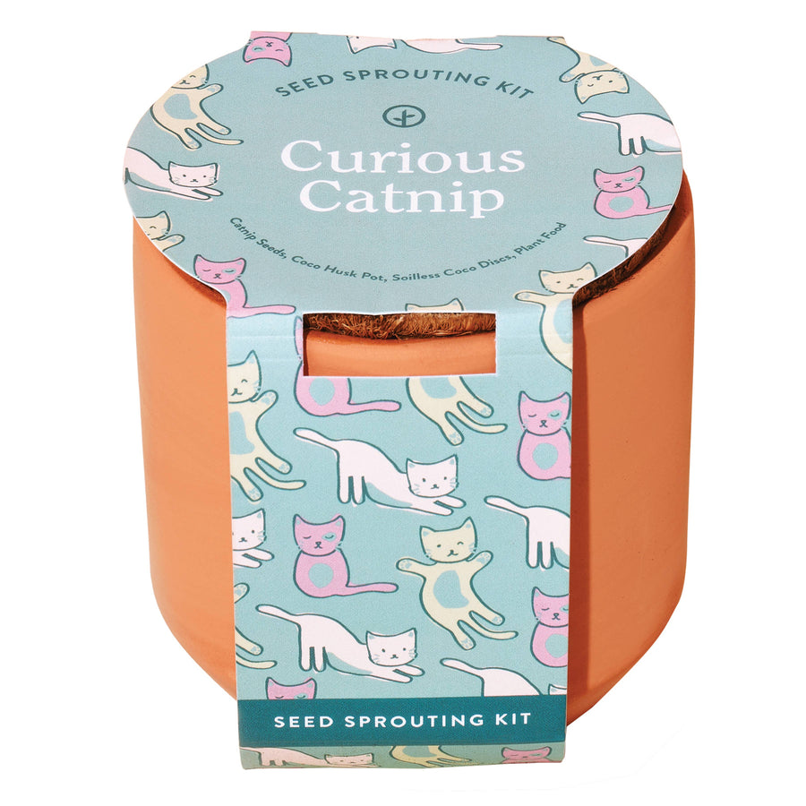 Curious Catnip Terracotta Pet Grow Kit
