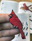 Cardinal Patch