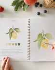 Fruit Watercolor Book
