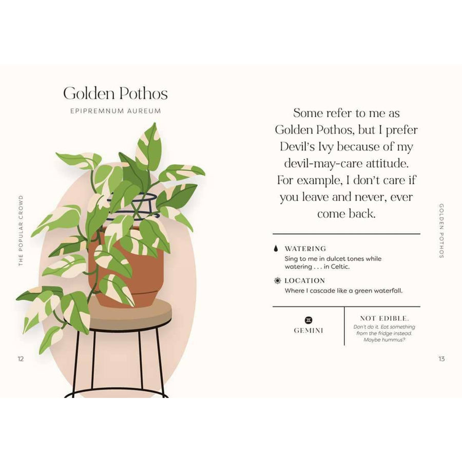 Houseplants and Their Fucked-Up Thoughts Book
