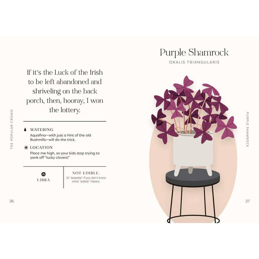 Houseplants and Their Fucked-Up Thoughts Book