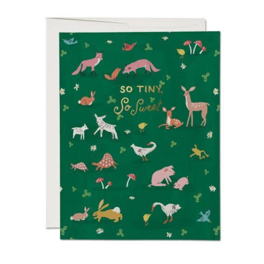 Greeting card with animal illustrations and text on a green background