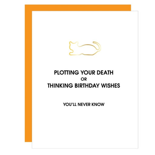 Plotting Your Death Birthday Cat Paperclip Card by Chez Gagné