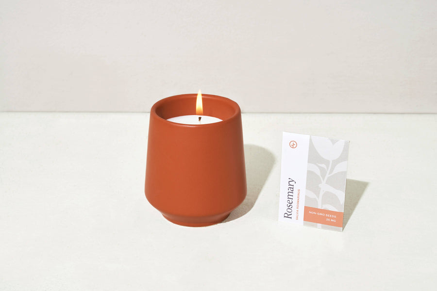 Rooted Candle in Rosemary & Cedar by Modern Sprout