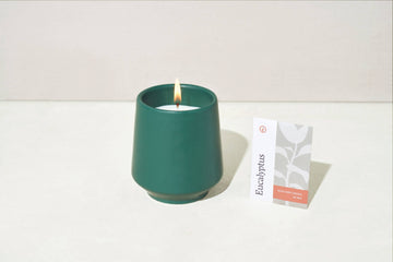 Rooted Candle in Thyme & Tonka Bean by Modern Sprout